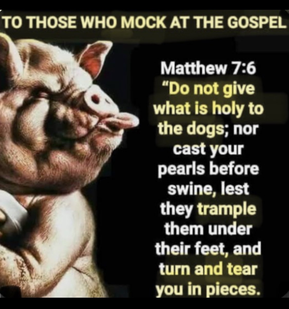 Matthew 7:6